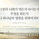 오포1동-11 이미지