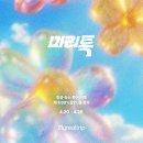 민경민박 | 마이리얼트립 마리특, 2026년 딱 일주일, 봄 특가 총정리