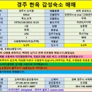 [경주펜션매매] 경주 한옥 감성숙소 매매 이미지