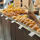 강원도 영월여행 코스 맛집 추천 영월소금빵 솔직후기
