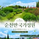해적왕테라피 | [순천만국가정원] 보트체험부터 힐링 산책까지! 여름 순천여행 필수코스 솔직 후기 🌿