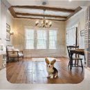 지축농장 | 지축 미니비숑분양 현명한 선택을 위한 실속 가이드