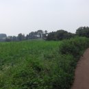 엘리시안타운 앞 이미지