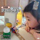 노벨 유치원 | 어린이날 선물 5세 코코지 하우스 선택이유 아띠추천