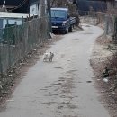 소구월사거리 이미지