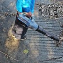 58V 충전송풍기로 집 주변 가을 낙엽 청소합니다. 이미지