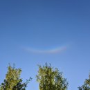 무궁화꽃이피었습니다 | [HSP가족] 수호나무의 스마일 무지개 선물, 무궁화꽃이 피었습니다