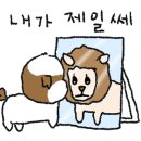 아이봄 동물병원 네이버블로그