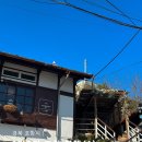 송라 아쿠아 | [공지] [경북 포항] 구룡포의 매력에 빠지다! 모리국수 한 그릇의 행복과 감성 카페 투어