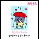 주포농장 | 비가 오는 함평 함비 우산 우비 장화 다 준비했어요