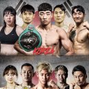 프라임복싱클럽 이미지