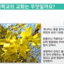 서울영일초등학교 이미지