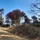 풀비치펜션 이미지