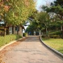 대가야역사테마관광지 캠핑장 이미지