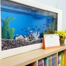 연세아이들소아청소년과의원 이미지