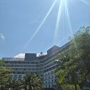 5109 | 푸꾸옥 베스트웨스턴 프리미어 소나시 호텔 행복했던 후기::디럭스킹 파티셜씨뷰