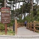 청남대 무장애나눔길조성 네이버블로그