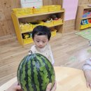 🍉수박🥳파티🎉 이미지