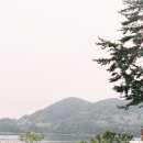 제이문플라워 이미지