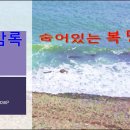 116해(解) 삼명통회 해독 6권 천원암록 136p 이미지