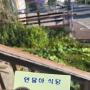 연달아식당 이미지
