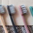 올쏘플러스 이미지