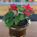 소가담한의원 이미지