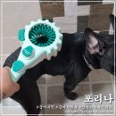 포리공원 | 강아지목욕 브러쉬 포리나 발 씻기기도 쉽고 간편