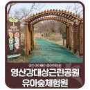 🌳광주 아이들이 좋아하는곳, 영산강대상근린공원 유아숲체험원