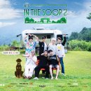 더숲(the 숲) 티스토리