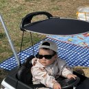 대호카랜드 이미지