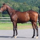 형인목장2 이미지