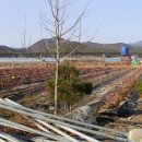 전강농장 이미지