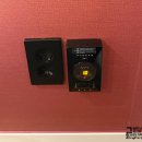 버튼 | 정왕동/배곧 실내 데이트 코스 추천! 보드게임카페 레드버튼 내돈내산 후기