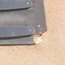 세종푸르니어린이집 이미지