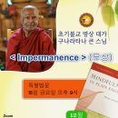 [마하위하라] 테라와다 온라인 특별법회 안내(제1회 구나라타나 큰 스님, 12월 15일) 이미지
