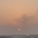 김밥집밥 이미지