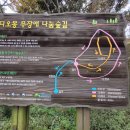 혼디오몽