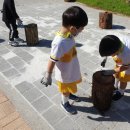 탑동초등학교 이미지