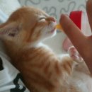 다본행정사 사무소 이미지