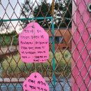 홈드림캠프 이미지