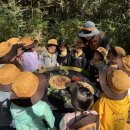 유아숲체험원(1) 이미지