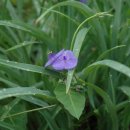 삼척해수욕장B 이미지