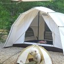 오크캠핑 | 캠핑칸 오크돔 S 찐사용후기/겨울캠핑, 장박에 최고/내돈내산