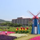 누마루(켄싱턴리조트) 네이버블로그