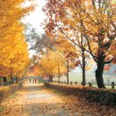 문화목장 이미지