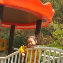 봉무공원 놀이터 이미지