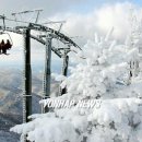 은빛세상 이미지