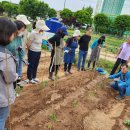 도시농업전문가 과정 이미지