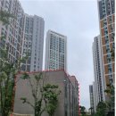 고덕유치원 이미지